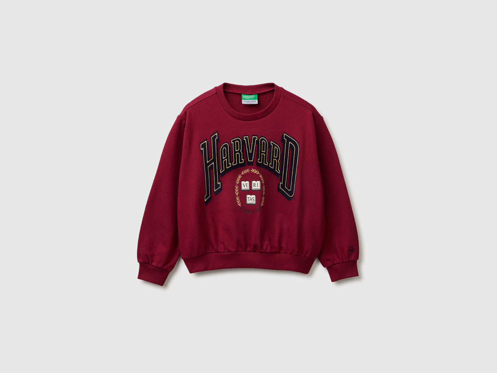 Sweat ©Harvard University - ucb_image_FS