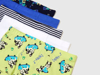 Five boxers in stretch cotton - ucb_image_DS1