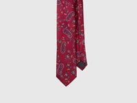 Paisley tie - ucb_image_DS1