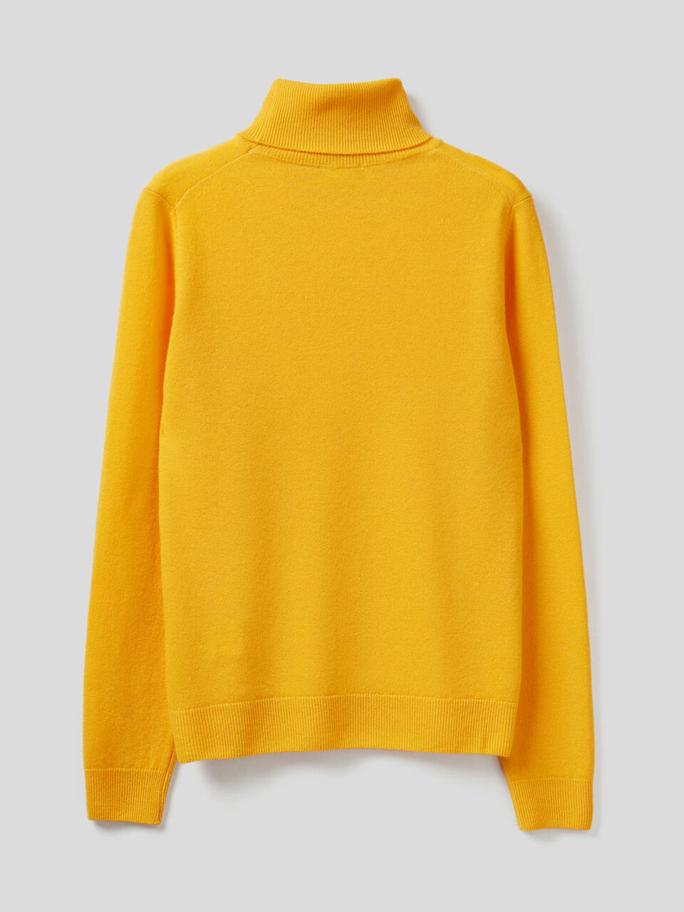 Rollkragenpullover aus 100% Schurwolle image number null