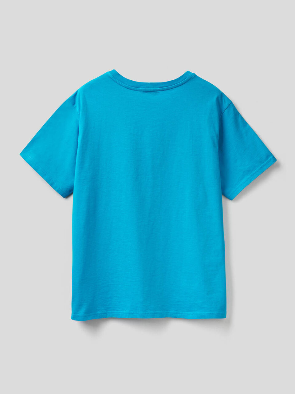 100% cotton t-shirt with print image number 2