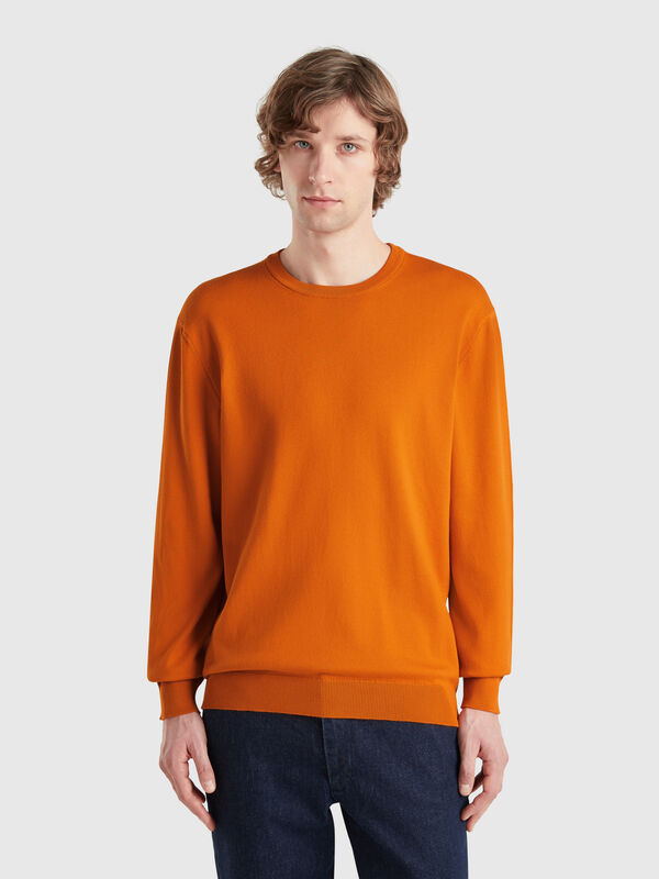 Pullover aus 100% Baumwolle mit Rundhalsausschnitt  Herren