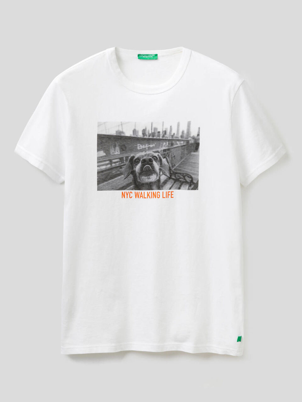 T-shirt avec imprimé en coton bio image number 1