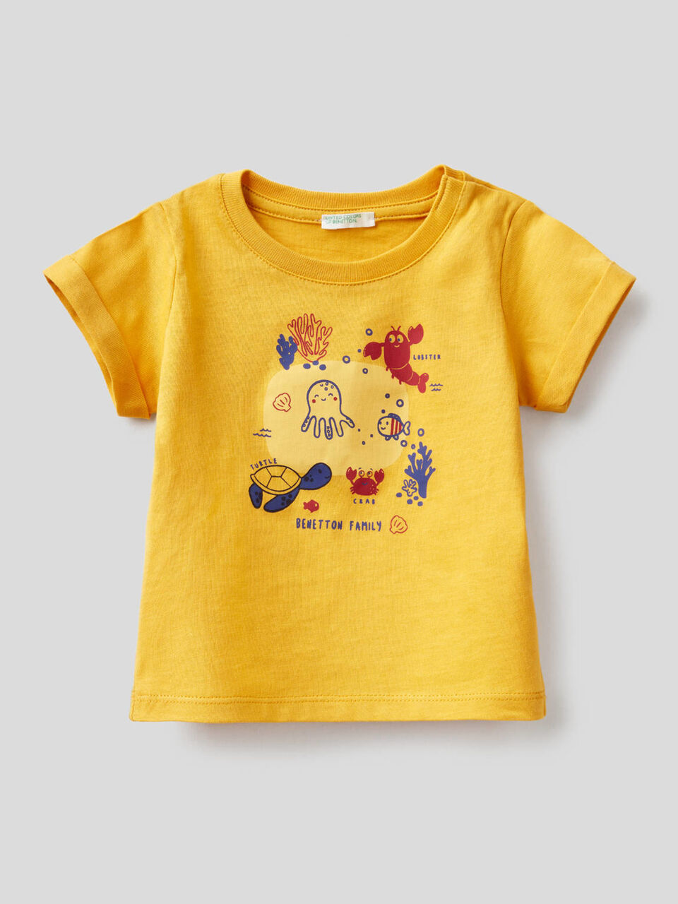 T-Shirt aus Bio-Baumwolle image number 1